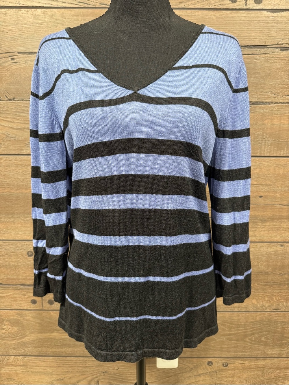 august silk Striped V-Neck Long Sleeve Top in Blue and Black